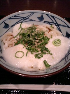 とろ玉うどん