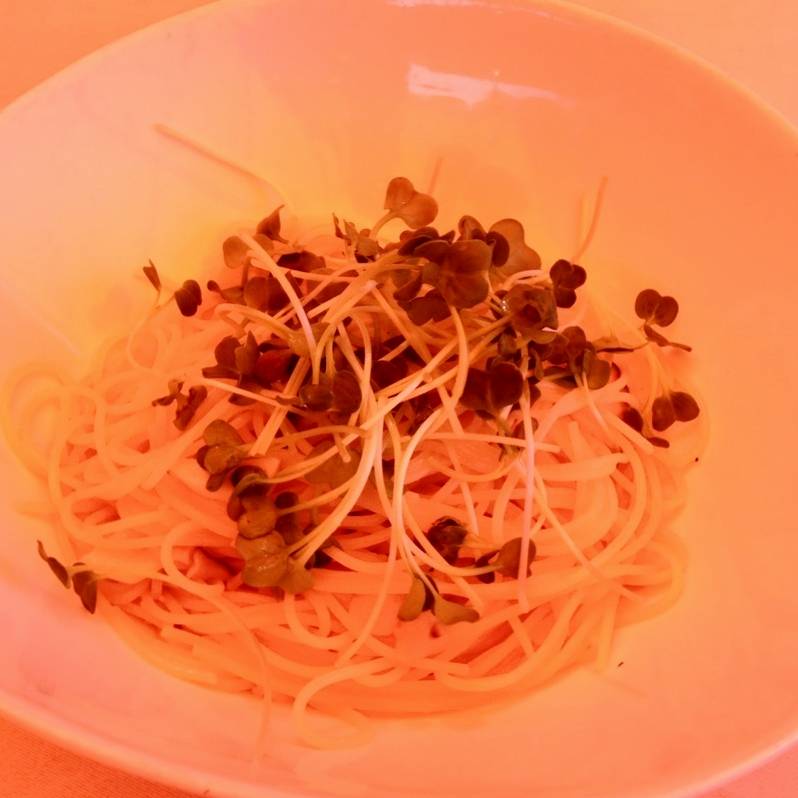 カイワレとエリンギのペペロンチーノ