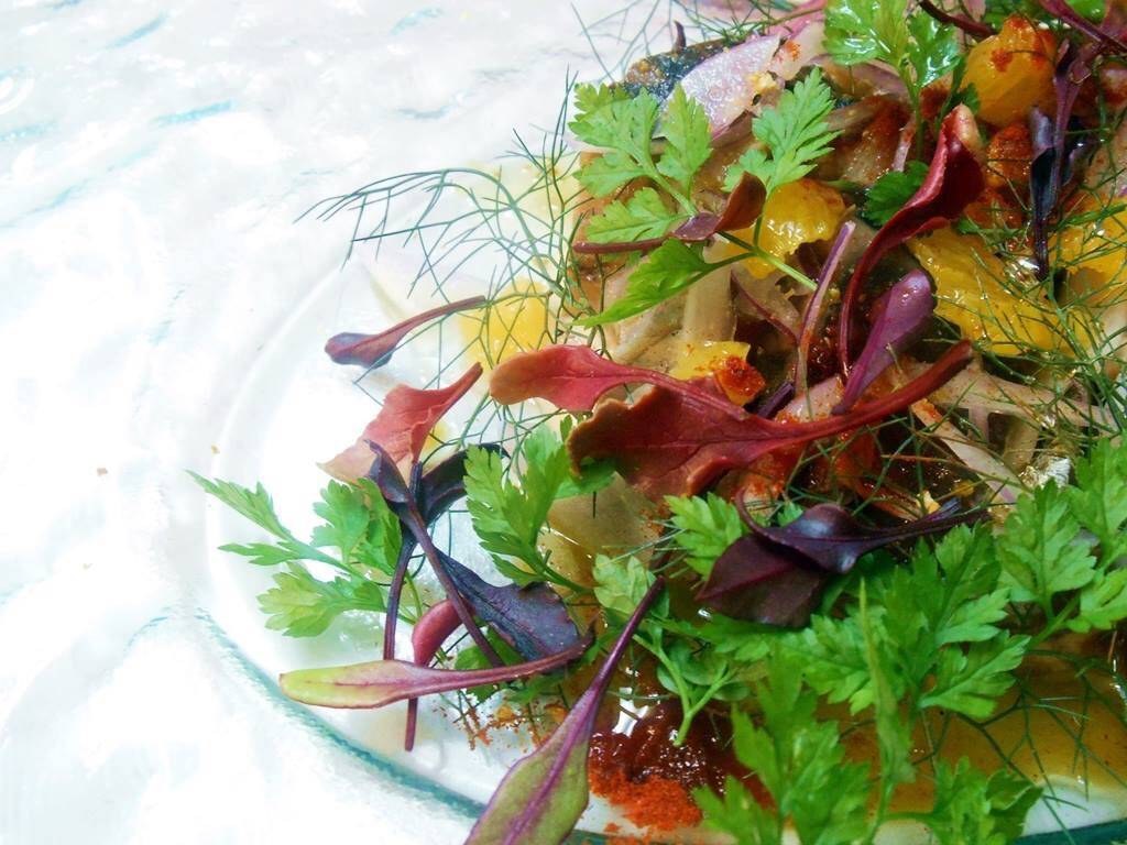 パーティーコース