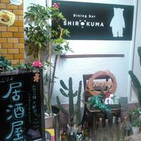 Dining Bar SHIROKUMA