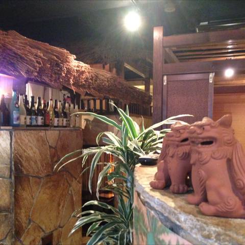 サザンウインドウ 下北沢