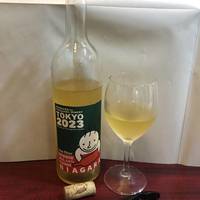 山形ナイアガラオレンジ　２０２３