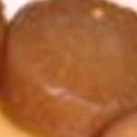 おでん（大根）