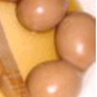 おでん（たまご）