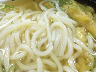 ごぼう天うどん