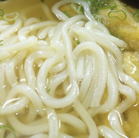 ごぼう天うどん