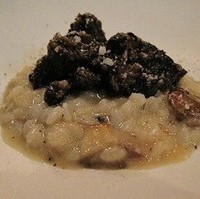 ポルチーニ茸のリゾット　和牛の煮込み