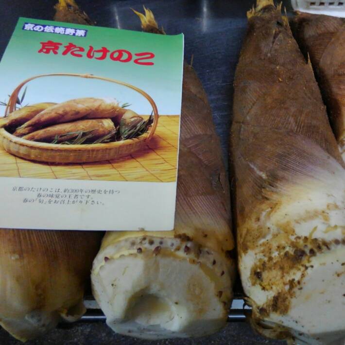 京都大原野の白筍