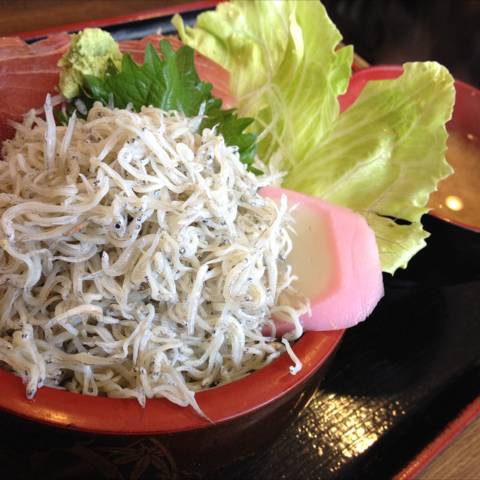 まぐろしらす丼