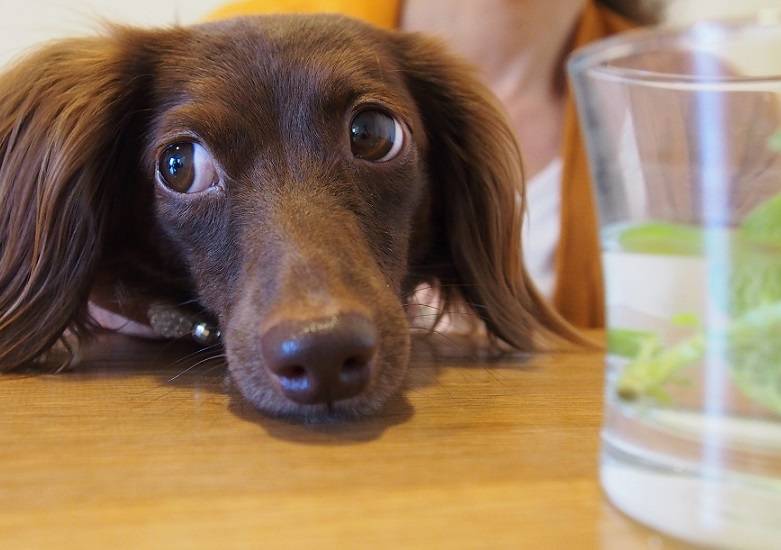 CAFE and BAR＊ sweet