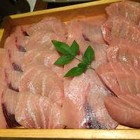 極しびしゃぶ（特選南鮪大トロ・目梶木） 