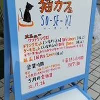 猫カフェ SO-SE-KI