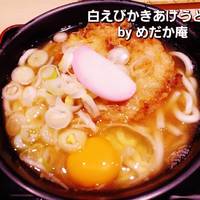 白えびかきあげうどん