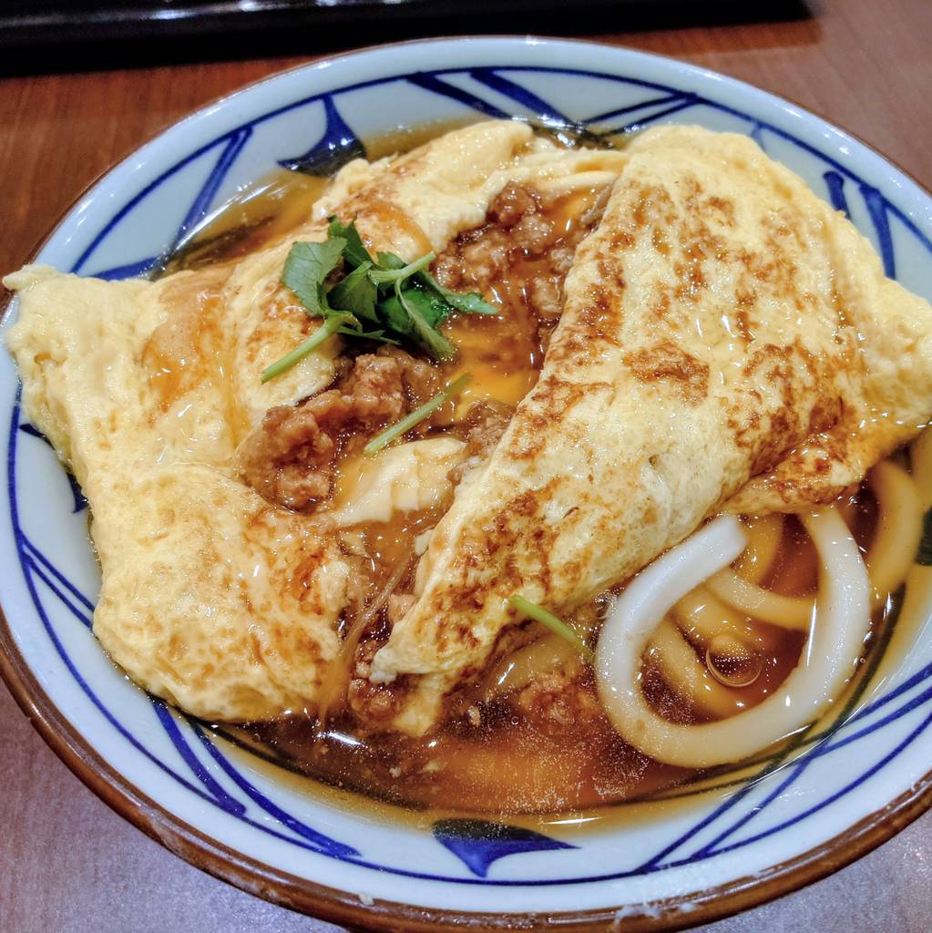 だし玉肉づつみうどん