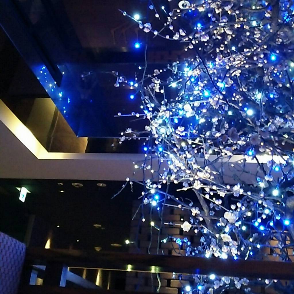 個室ダイニング ウメ子の家有楽町駅前店