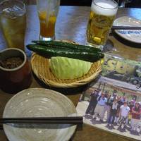 じとっこたたきネギまみれ　日向夏ポン酢