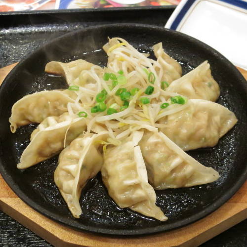 鉄鍋ぎょうざ定食２