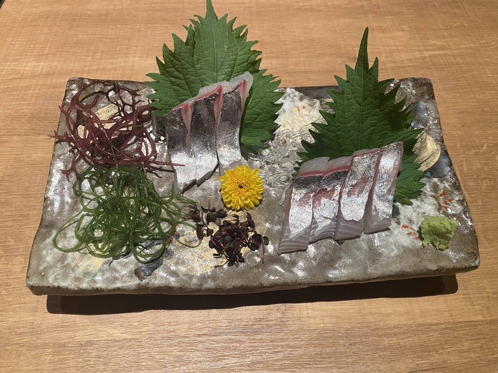 白虎コース関アジ