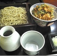 手打ち蕎麦と天丼セット