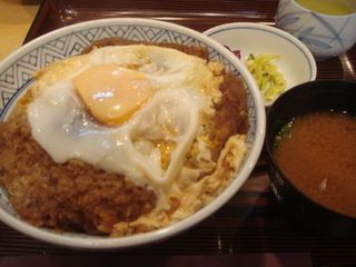 スペシャルカツ丼