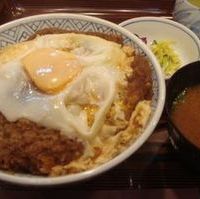 スペシャルカツ丼