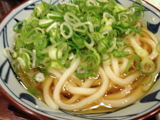 かけうどん