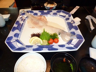 呼子いか活き造りコース