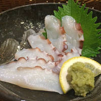 活車海老お刺身