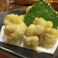 活車海老お刺身