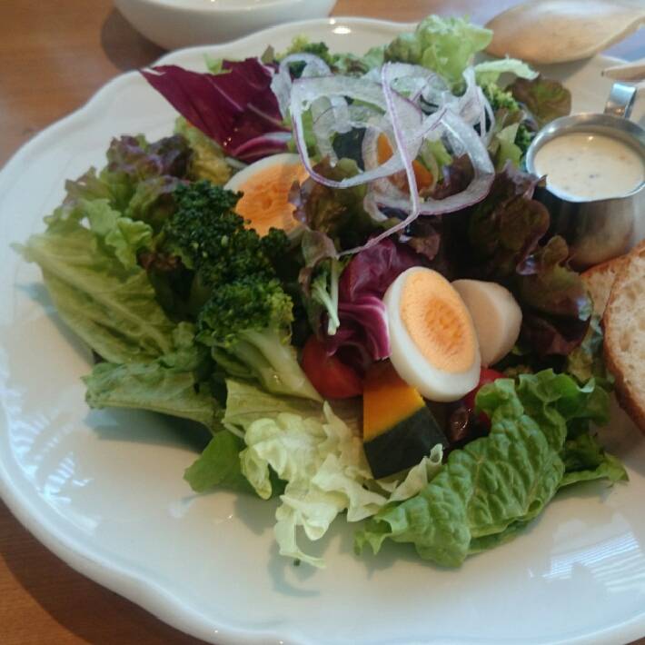 ヨッコーズサラダ