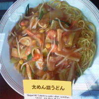 太めん皿うどん