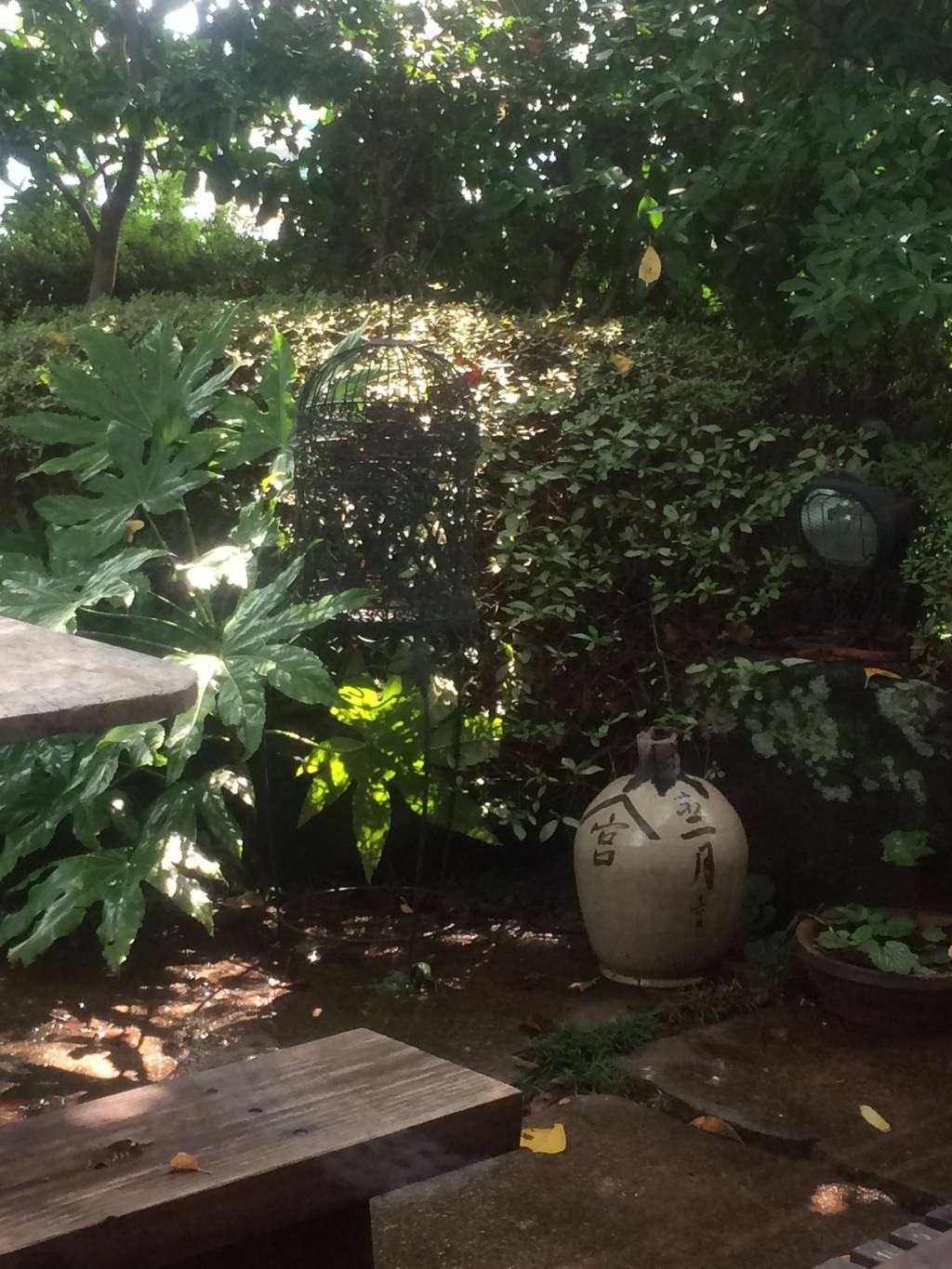 アイスコーヒー