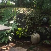 アイスコーヒー