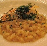 赤座海老のリゾット