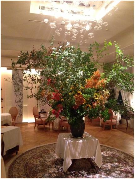 アロマフレスカ