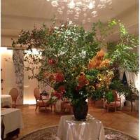 アロマフレスカ