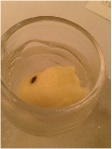 柑橘のシャーベット