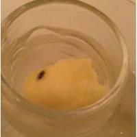 柑橘のシャーベット