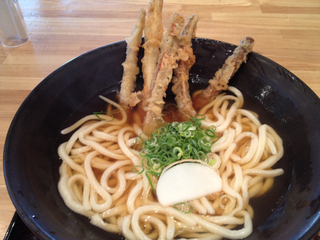 ごぼう天のおうどん