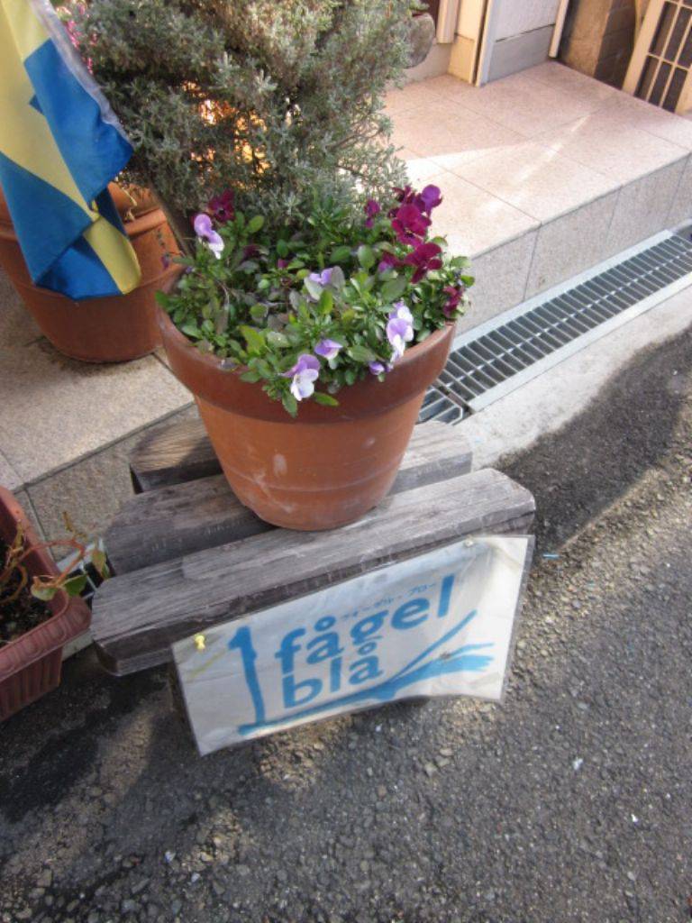 フォーゲル ブロー