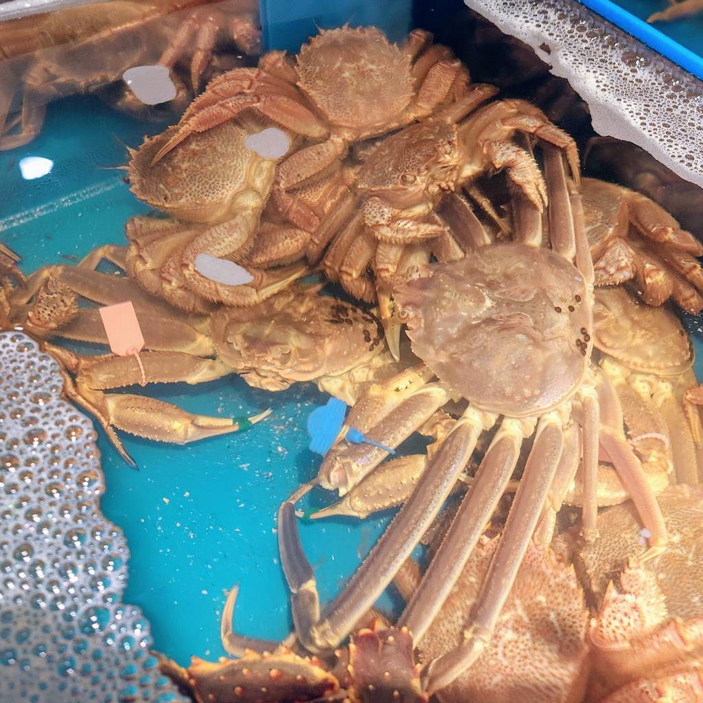 かに道楽銀座八丁目店