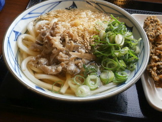 肉ごぼううどん