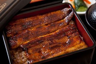うなぎ弁当