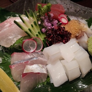 旬の鮮魚の造り　五種盛（２～３人前）