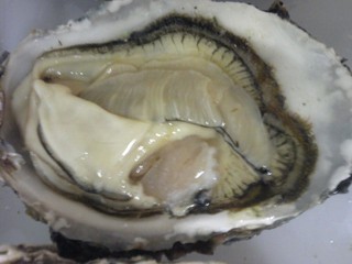 生牡蠣