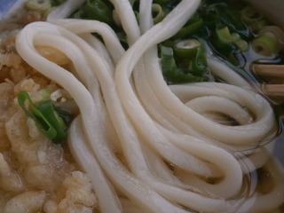 かけうどん