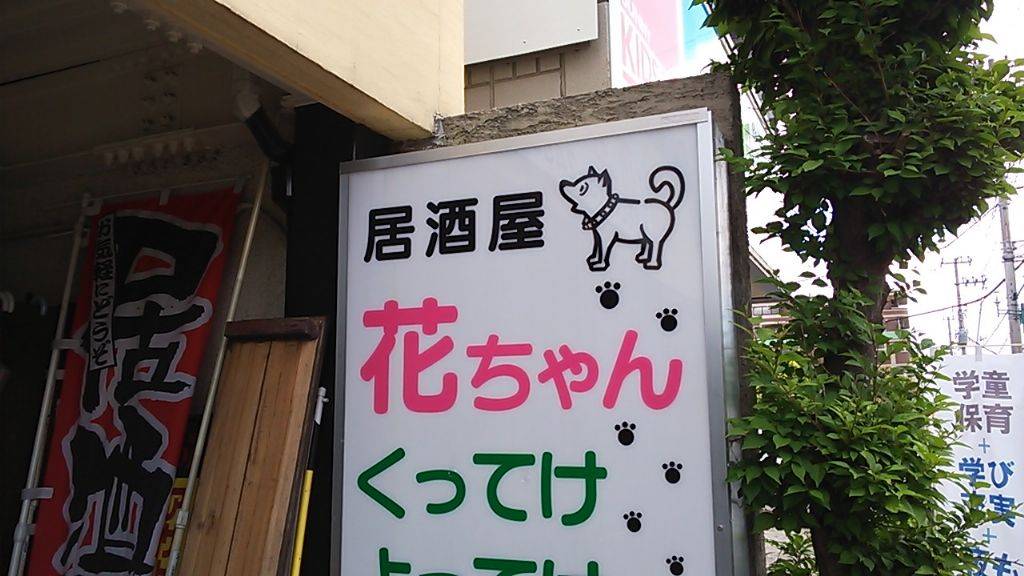 居酒屋 花ちゃん