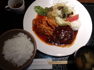ハンバーグとチキンのトマト煮込み