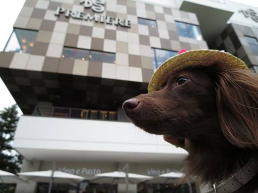 ヴィノ　エ　パスト