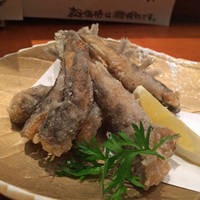 だいこんポルチーニソースかけ